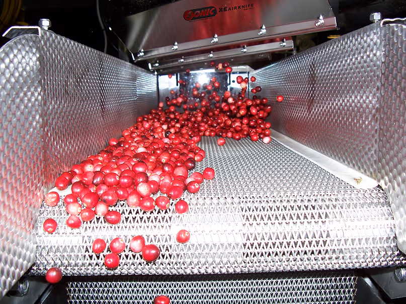 Dewatering Fruit